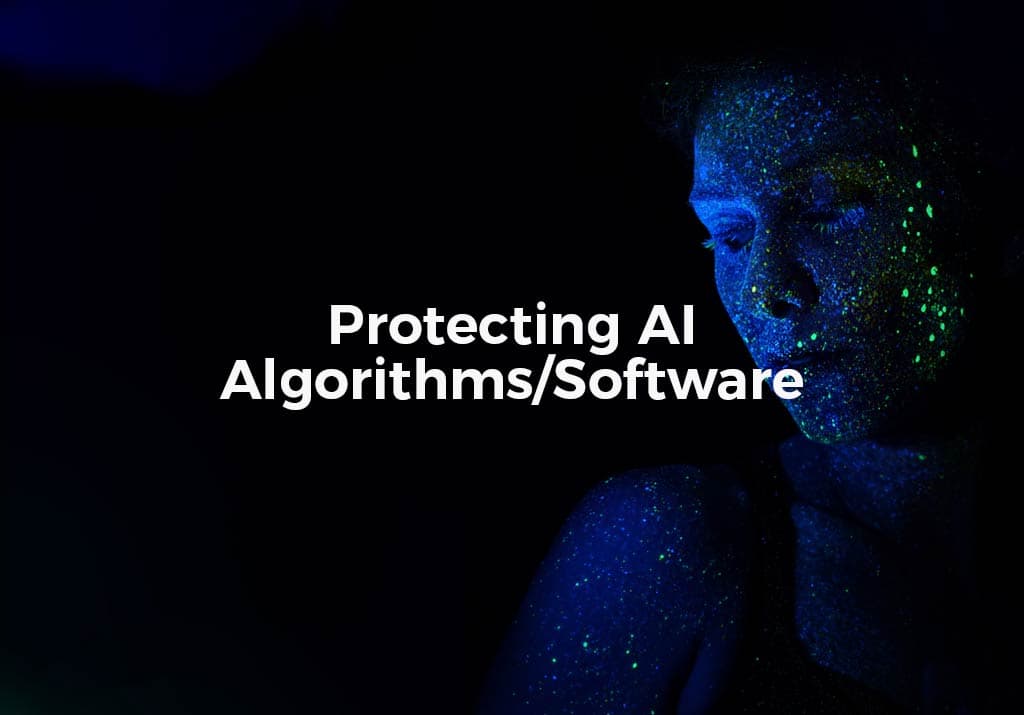 Protecting AI Algorithms/Software