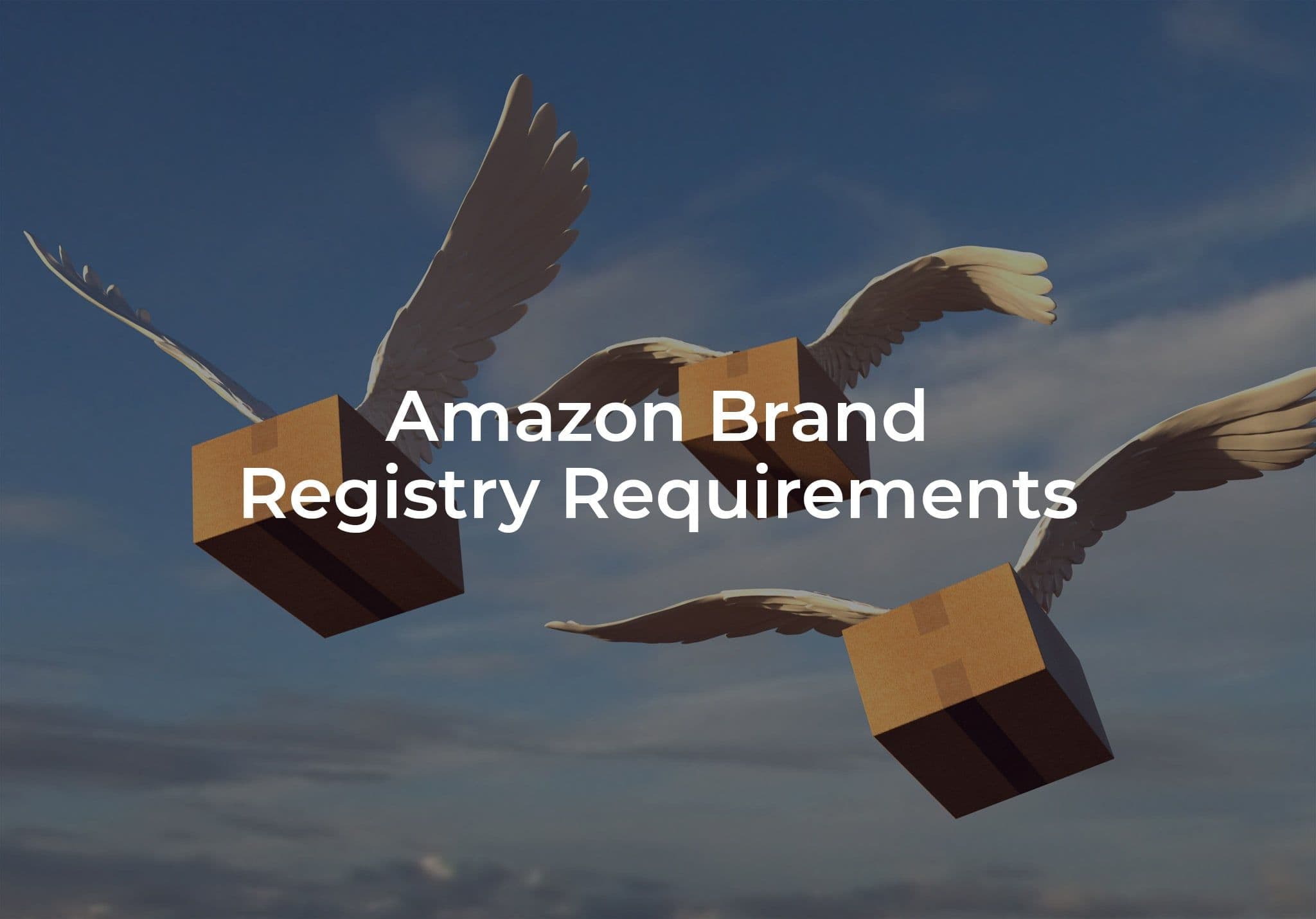 Amazon Brand Registry Requirements