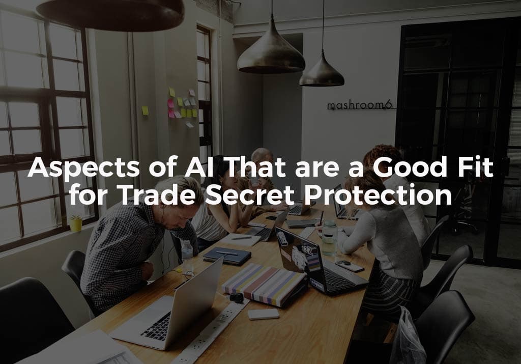Aspects of AI That are a Good Fit for Trade Secret Protection