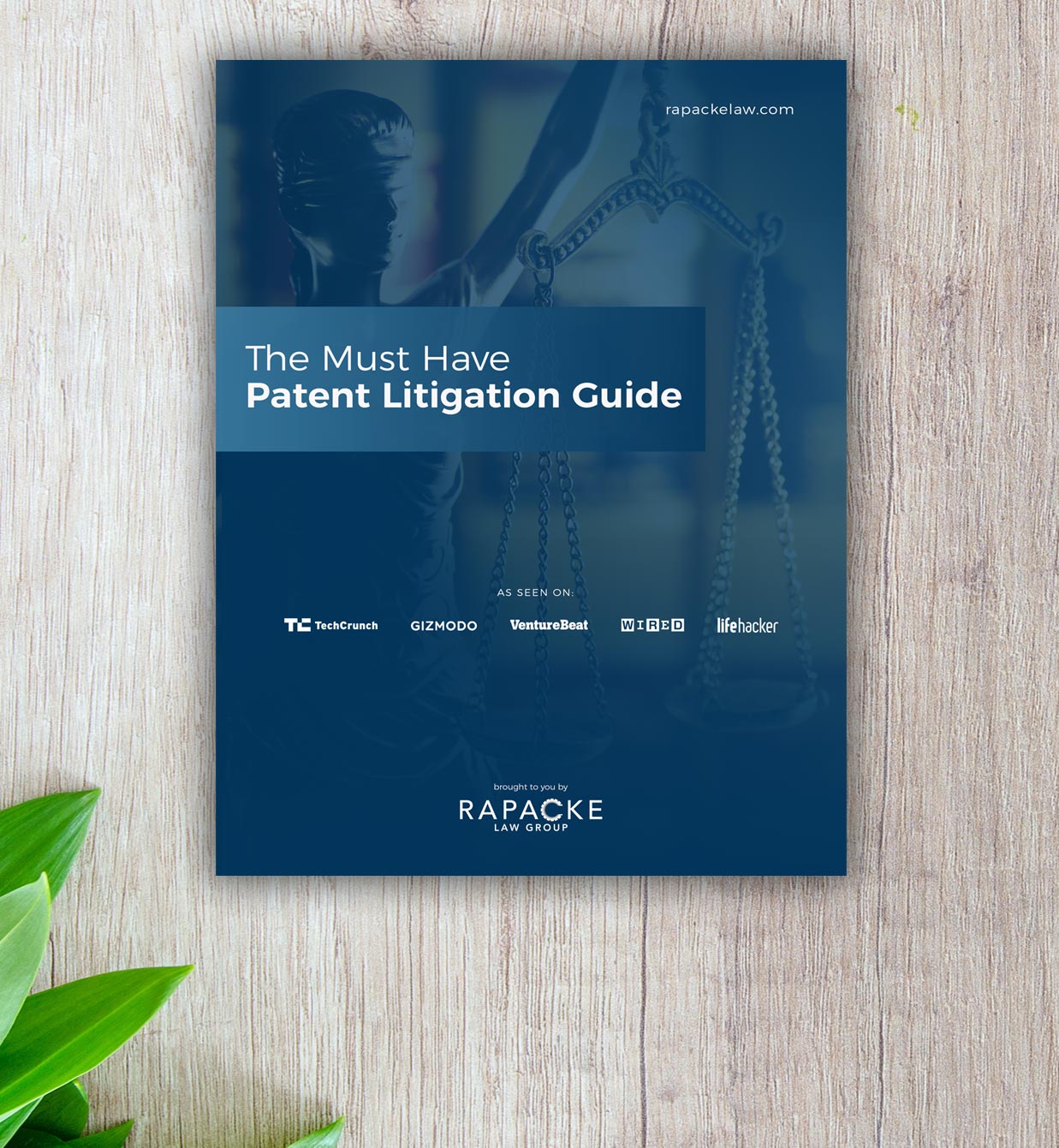 The Must Have Patent Litigation Guide