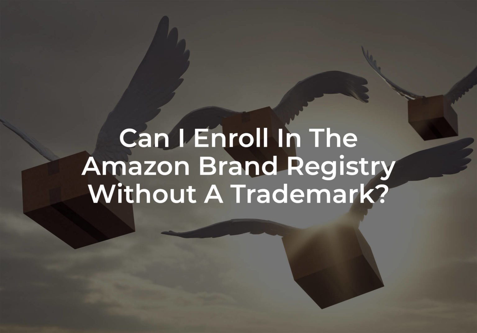 Can I Enroll In The Amazon Brand Registry Without A Trademark