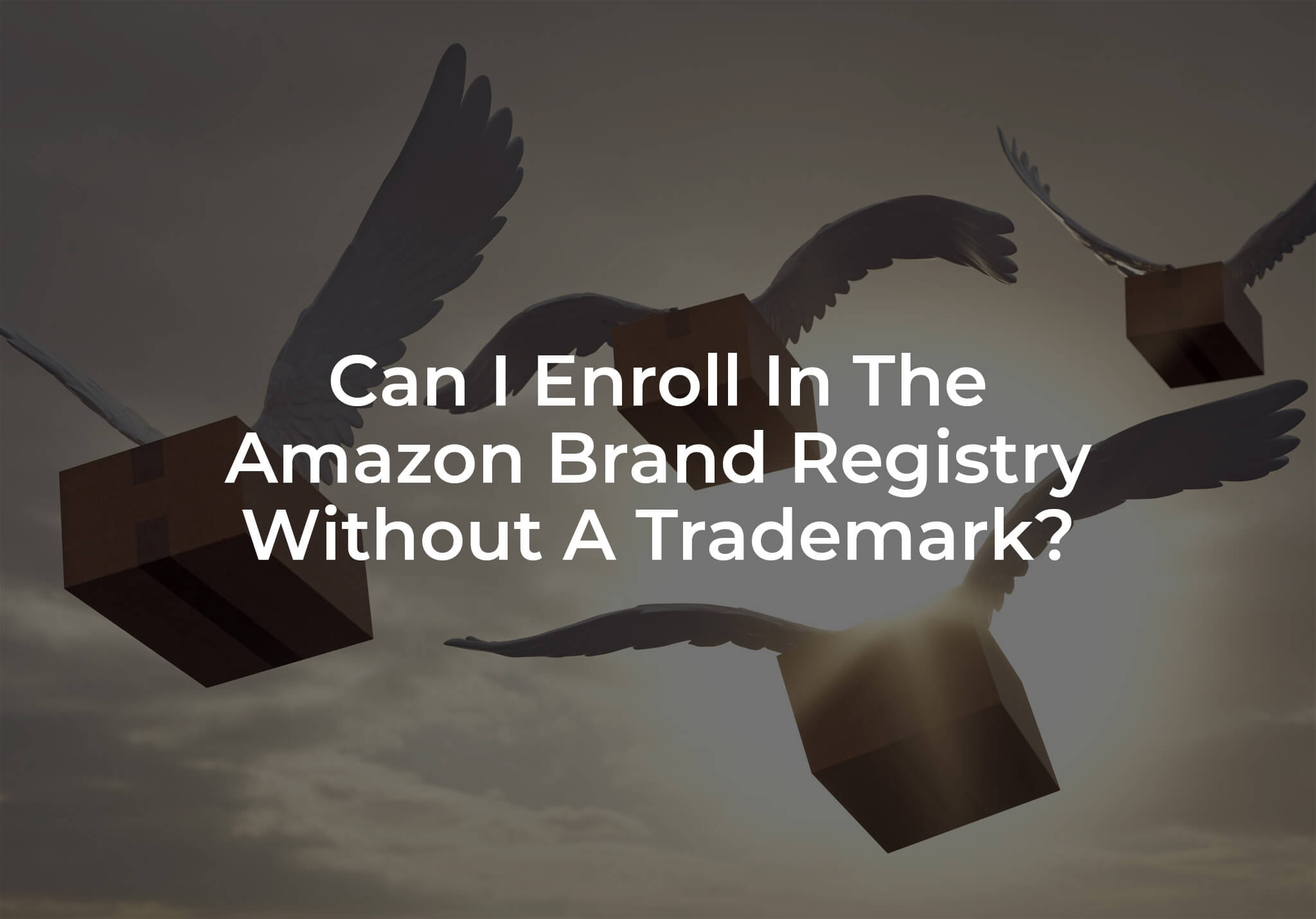Can I Enroll In The Amazon Brand Registry Without A Trademark?